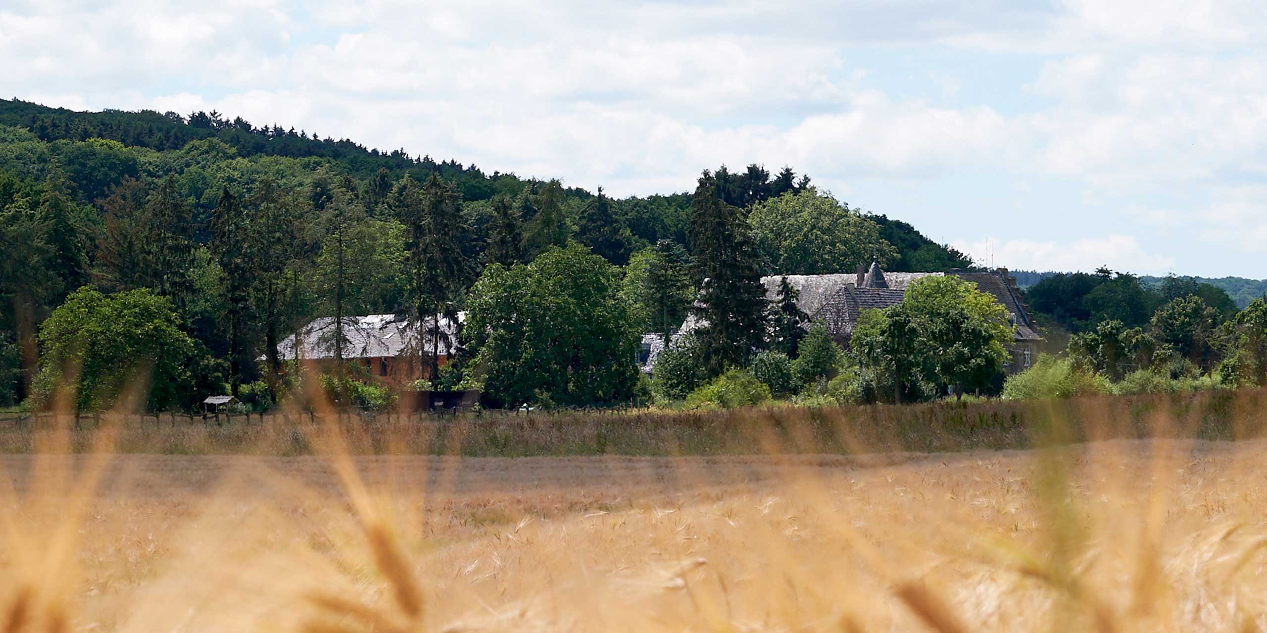 Kloster Schweinheim - Akademie